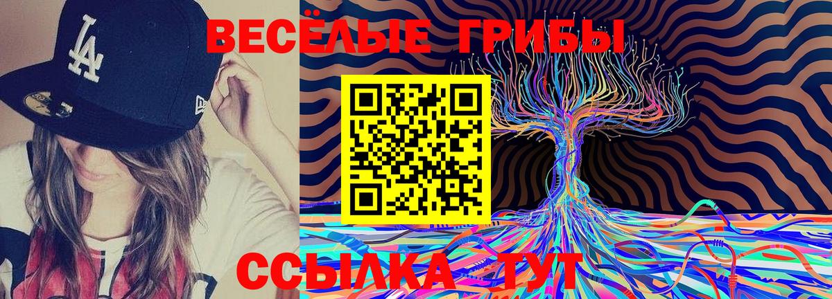 Галлюциногенные грибы GOLDEN TEACHER  Галлюциногенные грибы прущие грибы  Вход с VPN  Стрежевой 